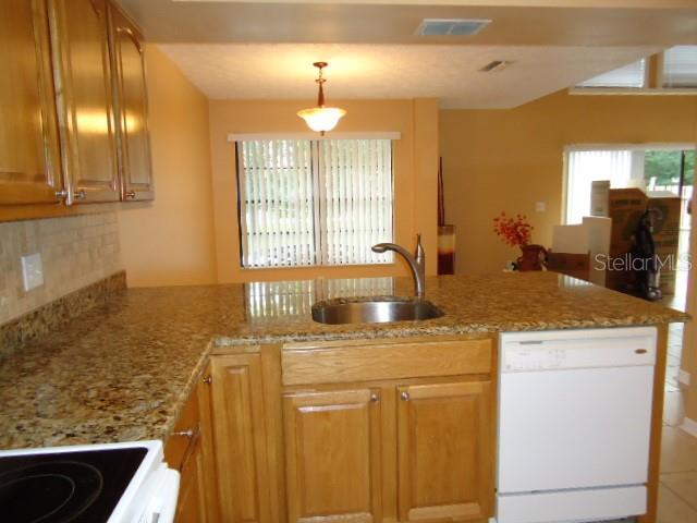 A kitchen features light wood cabinets, granite countertops, a stainless steel sink, and a dishwasher — 4012 CIRCLEWOOD COURT, TAMPA, FL