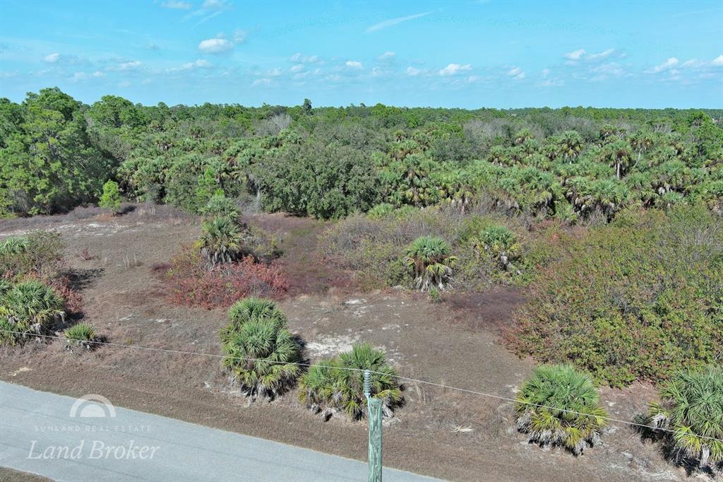 An aerial view shows a vacant, wooded lot adjacent to a paved road — EASTMAN CIRCLE, NORTH PORT, FL
