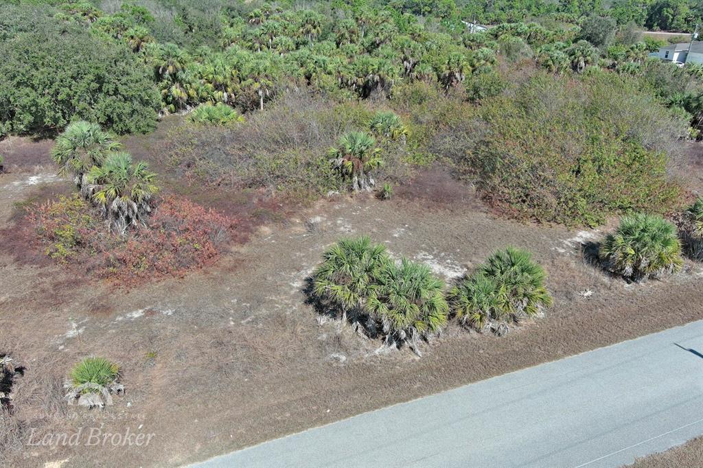 An aerial view shows a vacant, brush-covered lot next to an asphalt road — EASTMAN CIRCLE, NORTH PORT, FL