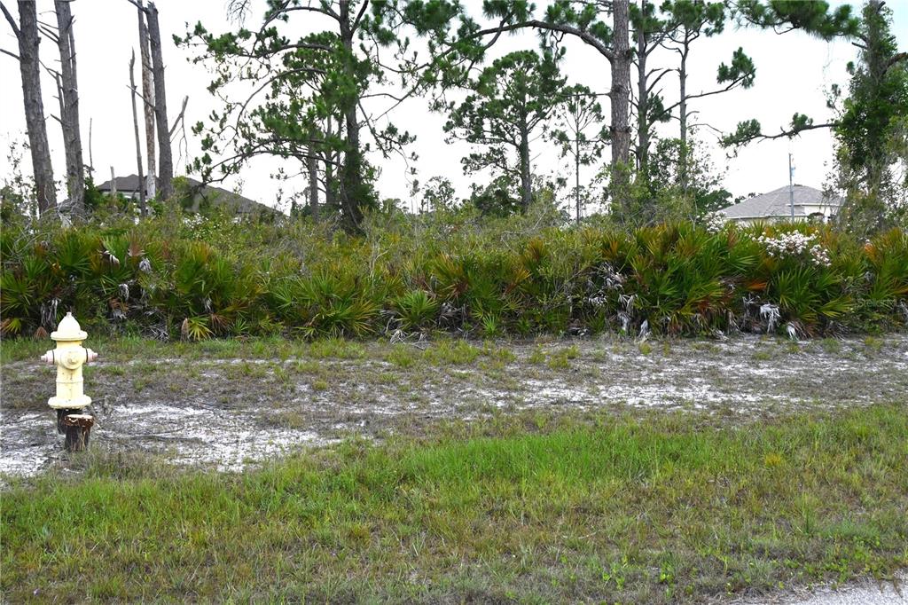 A fire hydrant stands on a grassy, sandy lot with dense vegetation and trees behind it — 16 COXSWAIN CIRCLE, PLACIDA, FL