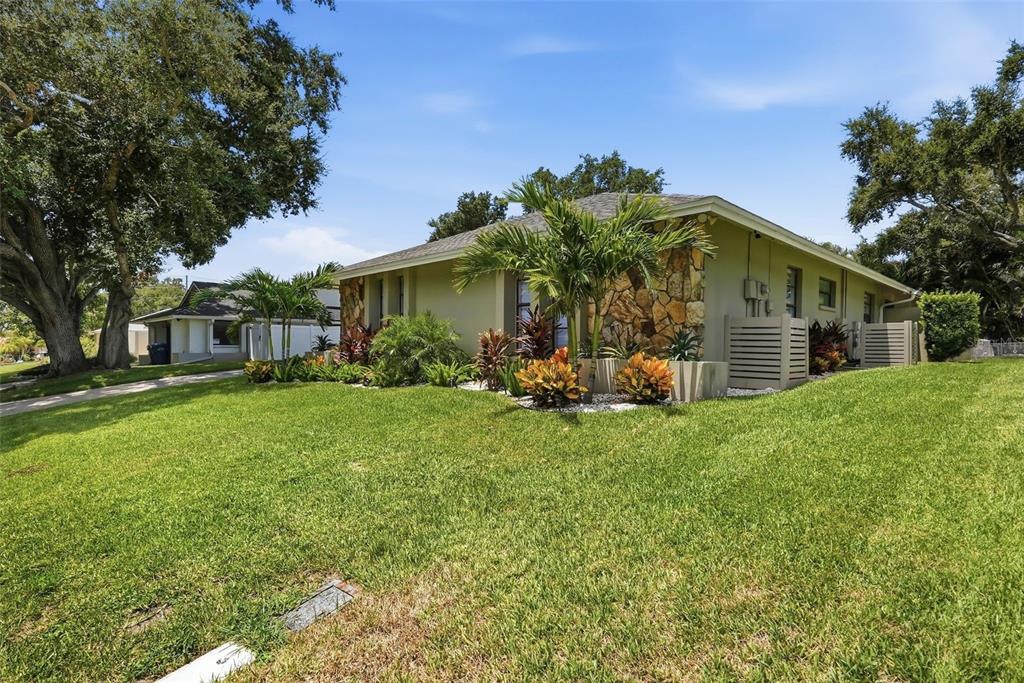 A single-story house with a stone facade, palm trees, and a green lawn — 707 KNOLLWOOD DRIVE, LARGO, FL