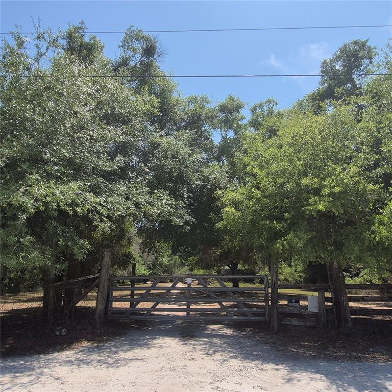 A metal gate blocks a dirt driveway entrance surrounded by large, leafy green trees — 12858 HIALEAH AVENUE, NEW PORT RICHEY, FL