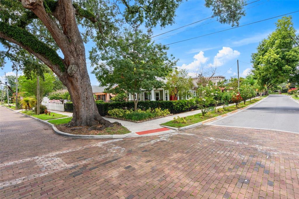 A brick street corner features a large oak tree and a sidewalk with a ramp — 900 E PINE STREET, ORLANDO, FL