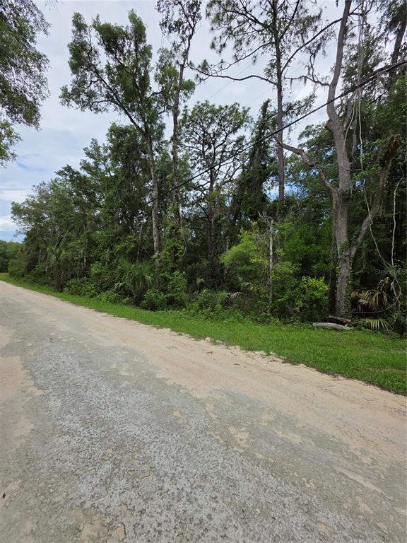 A dirt road runs alongside a wooded lot with tall trees and dense undergrowth — 0 POINTVIEW ROAD, BROOKSVILLE, FL