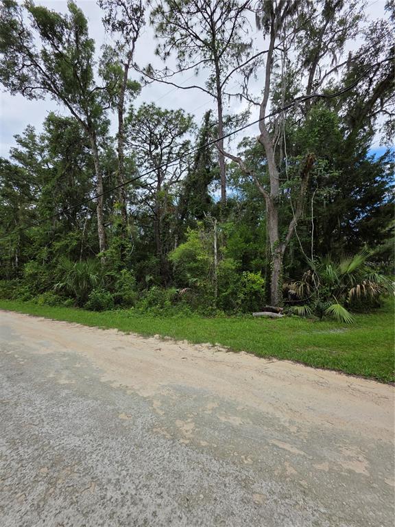 A dirt road runs alongside a wooded lot with tall trees and dense undergrowth — 0 POINTVIEW ROAD, BROOKSVILLE, FL