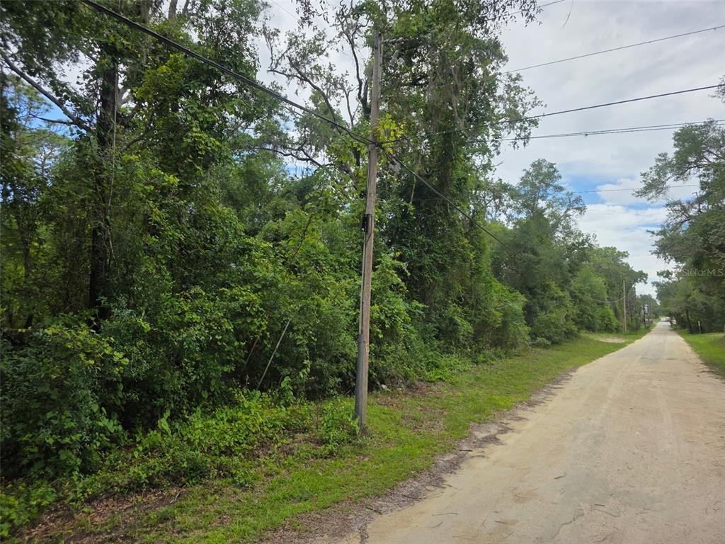 A dirt road runs alongside a dense, wooded lot with a utility pole — 0 POINTVIEW ROAD, BROOKSVILLE, FL