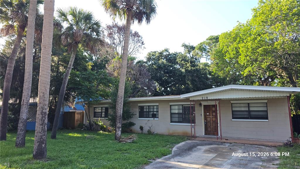 A single-story house with a beige exterior, palm trees, and a concrete driveway — 218 OJIBWAY AVENUE, TITUSVILLE, FL