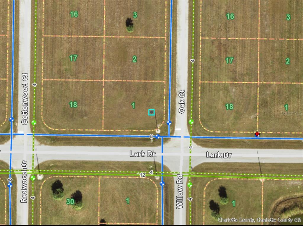 This is a map showing land parcels and street layouts in a residential area — 1 OAK COURT, PLACIDA, FL