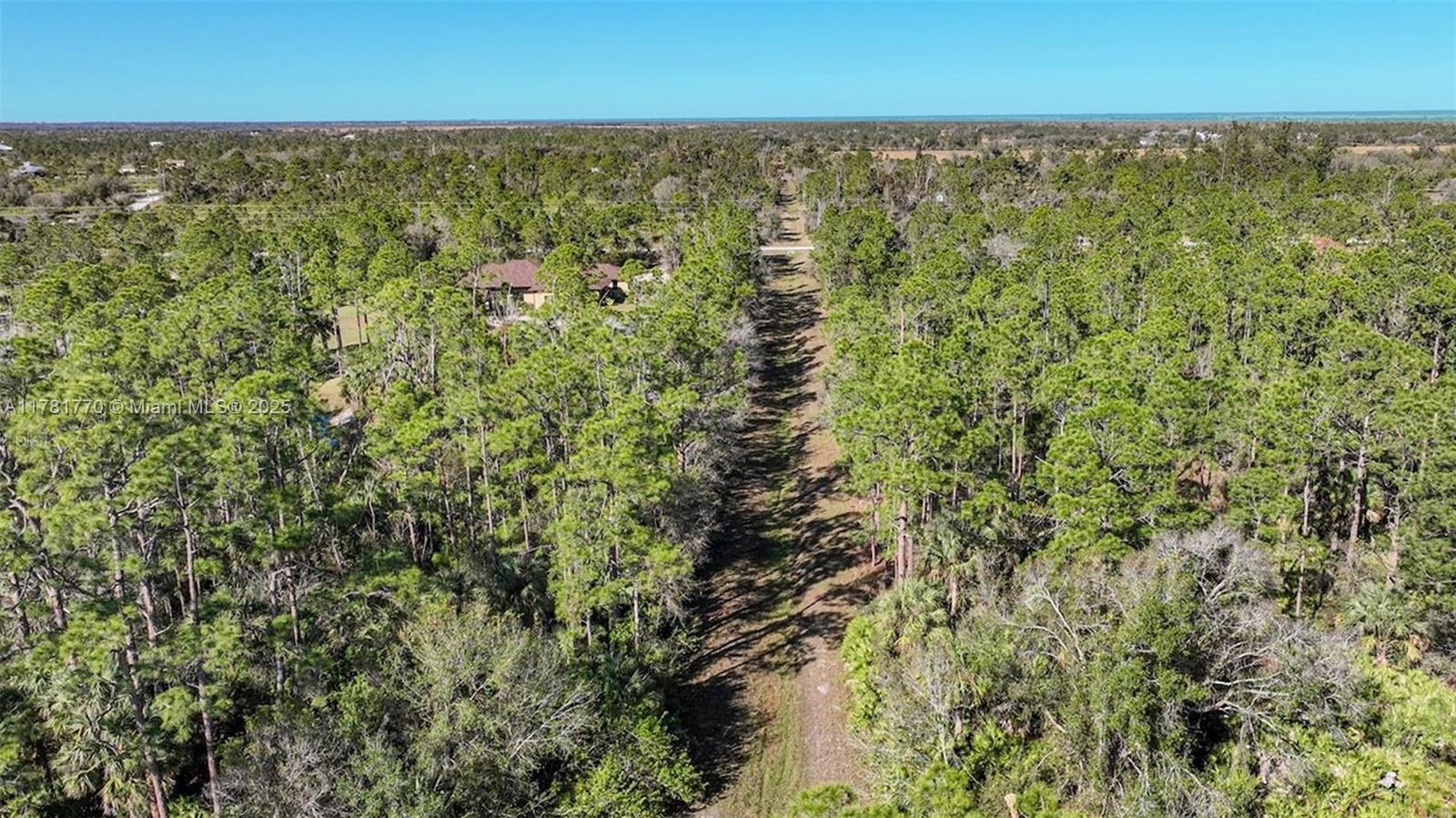 An aerial view shows a narrow dirt path cutting through a dense, wooded forest area — 27049 Seeger Dr, Punta Gorda FL 33955, PUNTA GORDA, FL