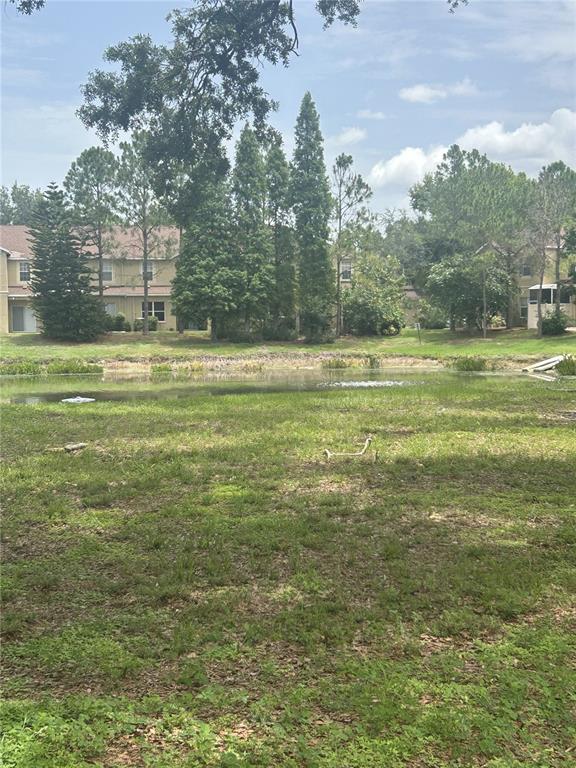 10536 SHADY FALLS COURT, RIVERVIEW, FL — photo 5 of 28