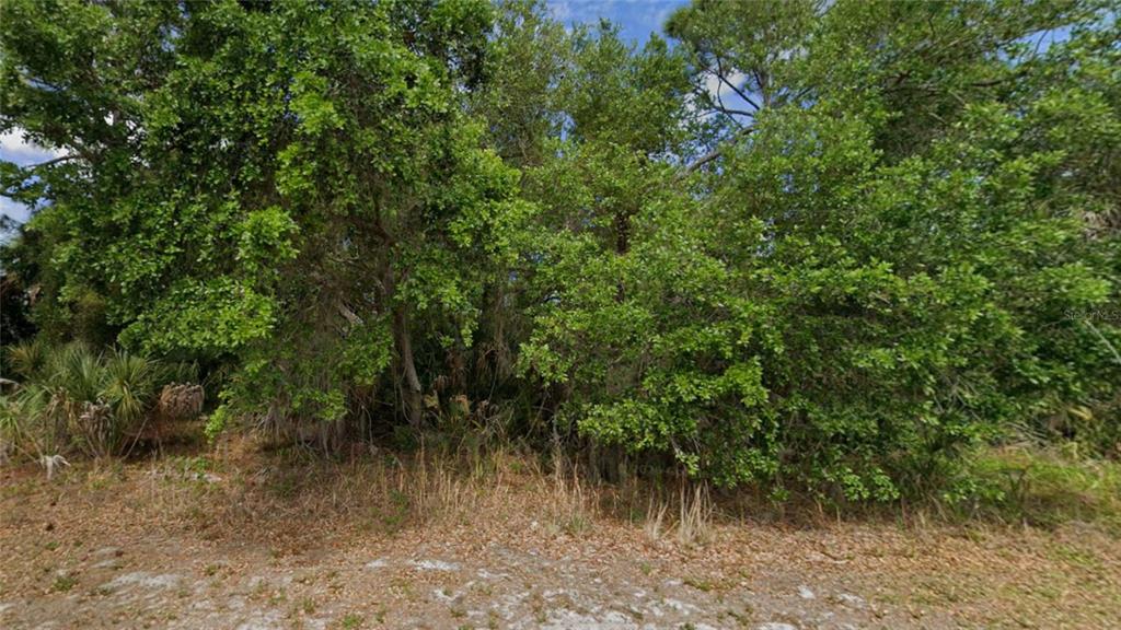 A dense cluster of trees and shrubs grows on a sandy, leaf-covered lot — 1367 EPPINGER DRIVE, PORT CHARLOTTE, FL