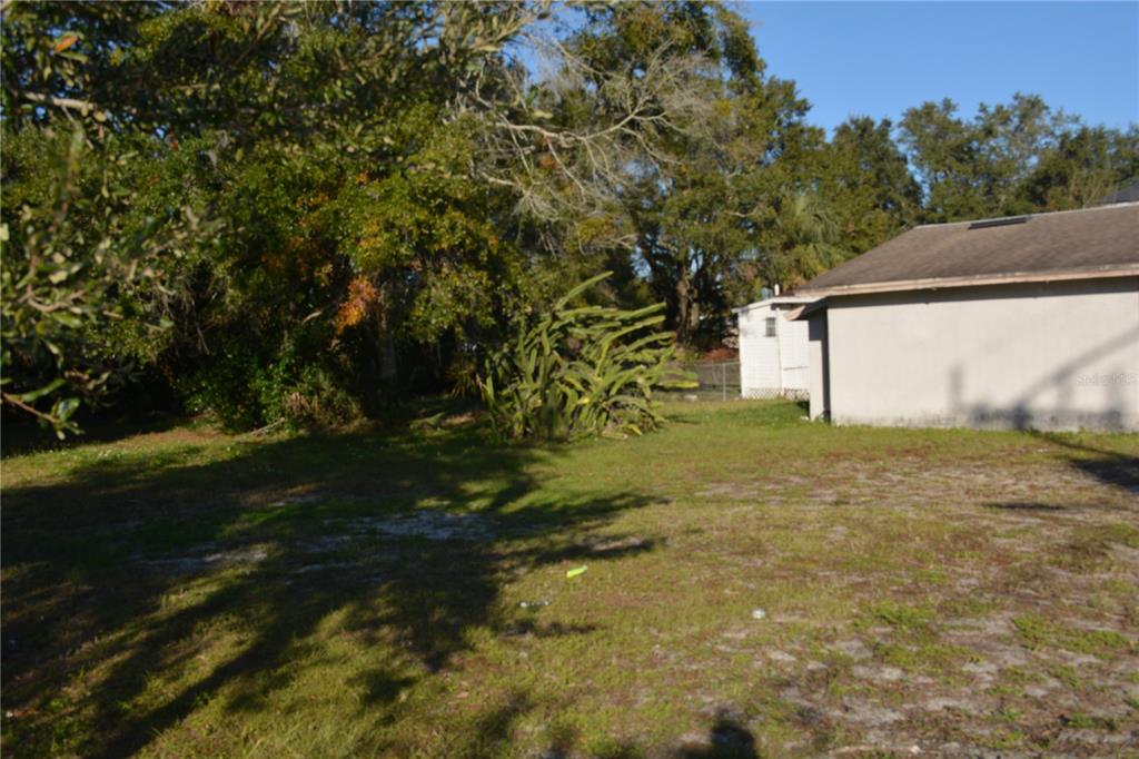A grassy backyard features a large cactus, mature trees, and the side of a house — 1006 S HISTORIC GOLDSBORO, SANFORD, FL