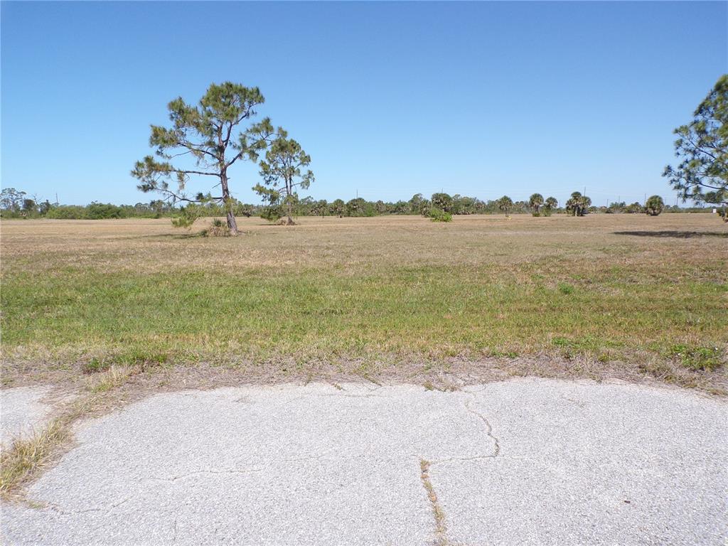 A large, flat, grassy vacant lot with scattered trees under a clear blue sky — 12163 SEA ROBIN LANE, PLACIDA, FL