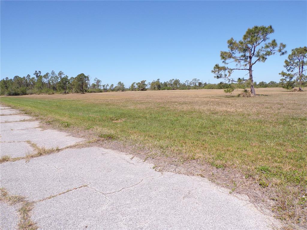 A cracked asphalt road leads to a large, flat, grassy field with scattered pine trees — 12163 SEA ROBIN LANE, PLACIDA, FL