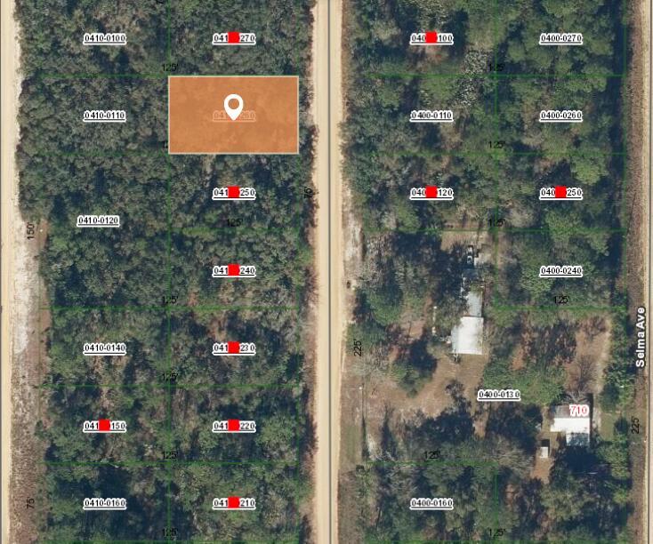 This is a satellite map view showing a highlighted rectangular land parcel among wooded lots — 009 Creager Avenue, FL 32148, FL