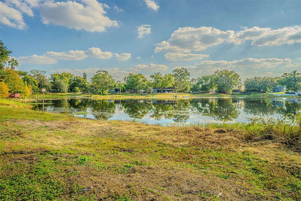 A grassy bank overlooks a calm lake with trees and houses in the background — 12510 FOREST HILLS DRIVE, TAMPA, FL