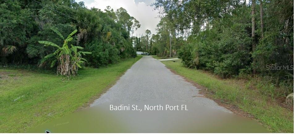 BADINI STREET, NORTH PORT, FL — photo 2 of 2