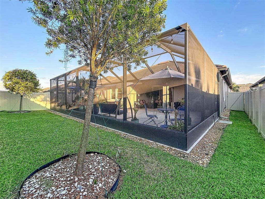 A fenced backyard features a screened-in patio with outdoor furniture and a small tree — 31527 CANNON RUSH DRIVE, SAN ANTONIO, FL