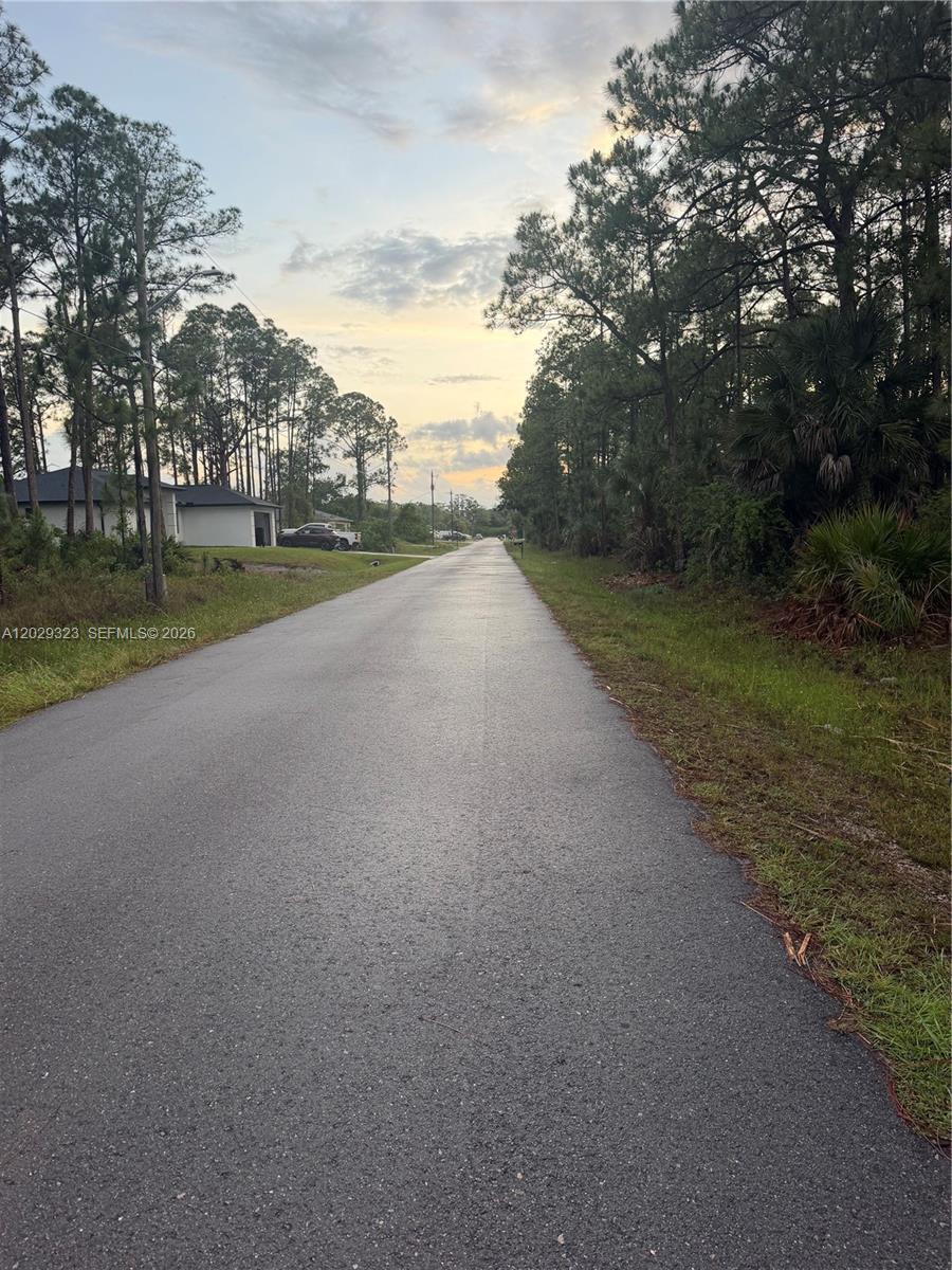 A paved road stretches into the distance, flanked by pine trees and a residential house — 3204 32 ST W, Lehigh Acres FL 33971, LEHIGH ACRES, FL