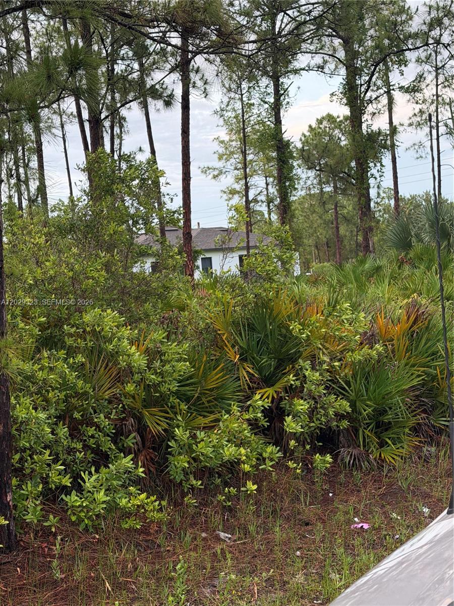 A house is partially visible behind dense trees and palmetto bushes in a wooded area — 3204 32 ST W, Lehigh Acres FL 33971, LEHIGH ACRES, FL