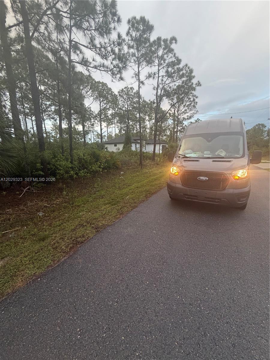 A gray Ford van is parked on a paved road next to a wooded lot — 3204 32 ST W, Lehigh Acres FL 33971, LEHIGH ACRES, FL