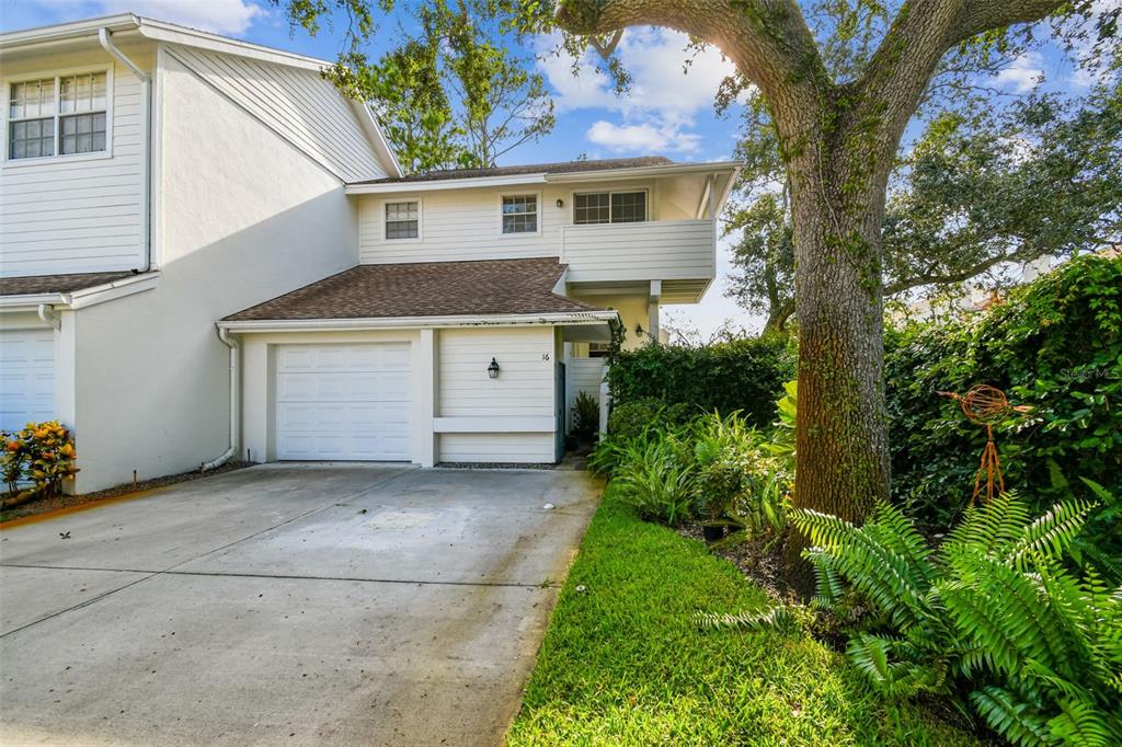5207 BAYSHORE BOULEVARD UNIT 16