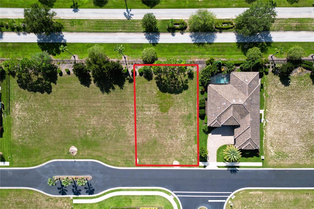 An aerial view shows a vacant rectangular residential lot outlined in red between two houses — 247 BLAZING STAR AVENUE, LAKE ALFRED, FL