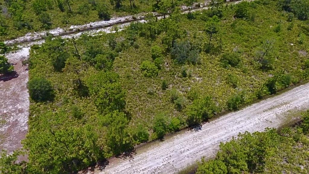 An aerial view shows a vacant, wooded lot bordered by two unpaved dirt roads — 113 BOUGAINVILLE DRIVE, INDIAN LAKE ESTATES, FL