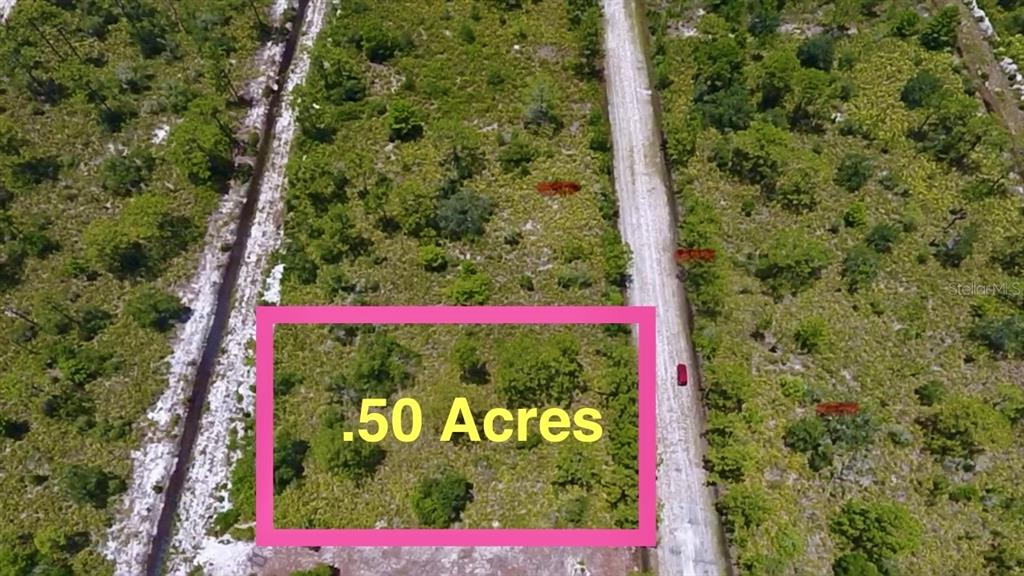 An aerial view shows a rectangular plot of land marked as .50 acres — 113 BOUGAINVILLE DRIVE, INDIAN LAKE ESTATES, FL