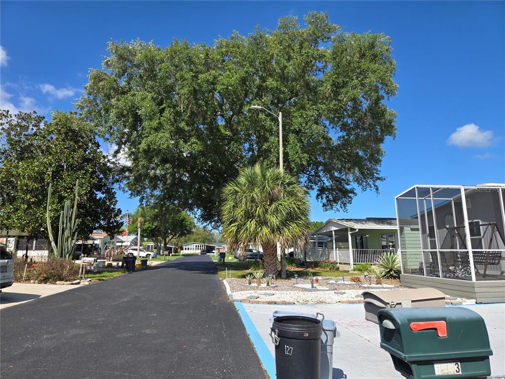 A paved street runs between mobile homes, a large tree, and a palm tree — 6309 GROVE POINTE DRIVE SE, WINTER HAVEN, FL