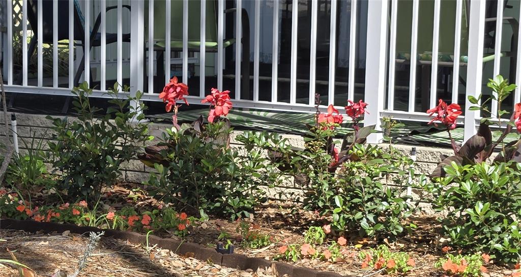 A garden bed with red canna lilies and small orange flowers sits before a porch — 6309 GROVE POINTE DRIVE SE, WINTER HAVEN, FL