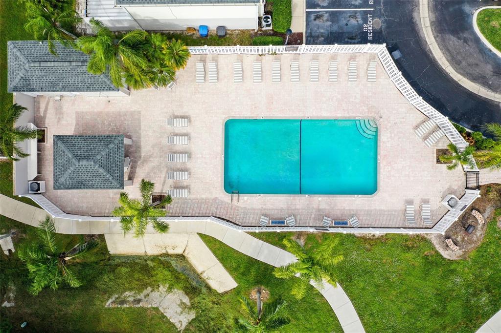 An aerial view shows a rectangular swimming pool surrounded by a paved deck and lounge chairs — 11905 CYPRESS VISTA, TAMPA, FL