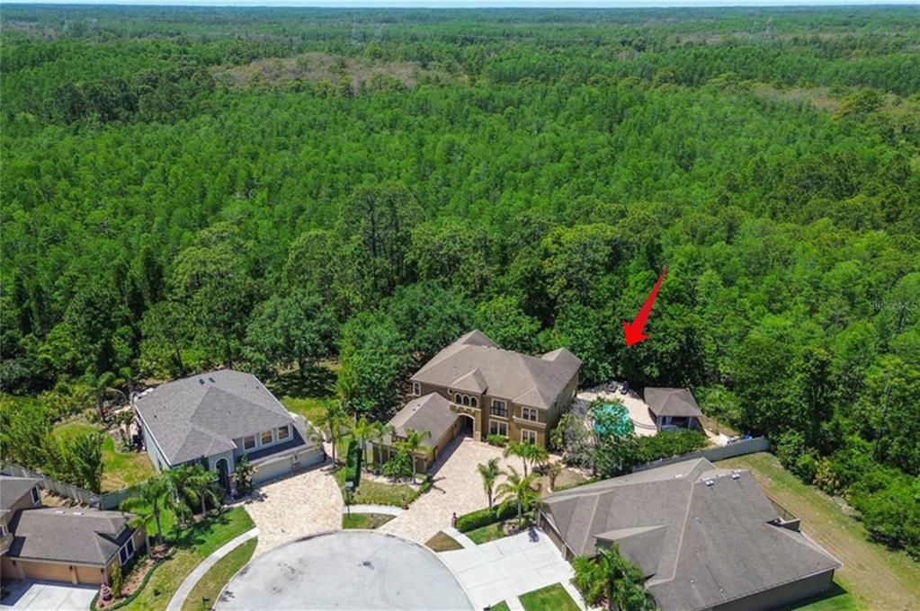 14809 NINEBARK COURT