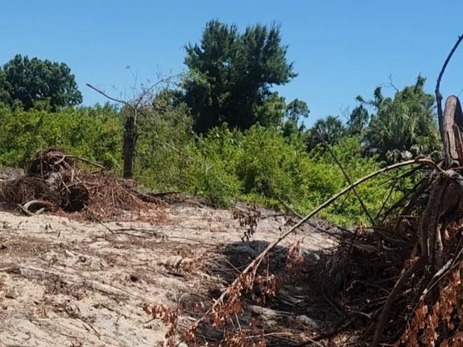 A cleared sandy lot features piles of brush and debris against a backdrop of trees — 12323 CLARENDON AVENUE, PORT CHARLOTTE, FL