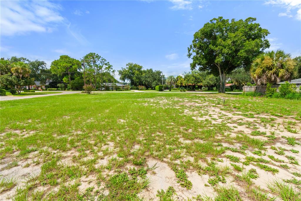 A vacant, grassy lot with sandy patches and several mature trees under a blue sky — 0 LAKESHORE BOULEVARD N, LAKE WALES, FL