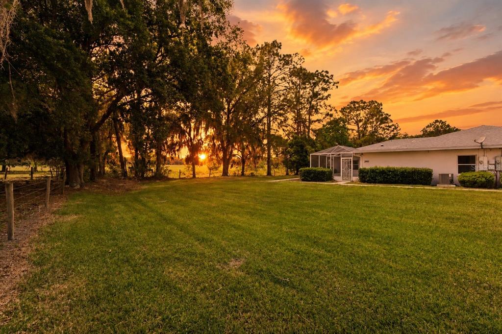 A grassy backyard at sunset with a house featuring a screened-in patio and trees — 2993 POPLAR AVENUE, LEESBURG, FL