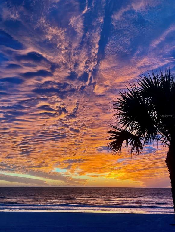 A palm tree silhouette stands against a vibrant, colorful sunset over the ocean — 17610 LEE AVENUE, REDINGTON SHORES, FL