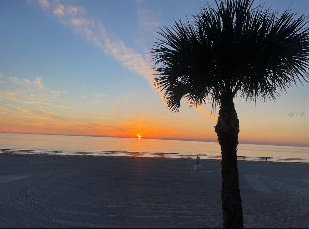 A palm tree stands on a sandy beach overlooking the ocean during a sunset — 17610 LEE AVENUE, REDINGTON SHORES, FL