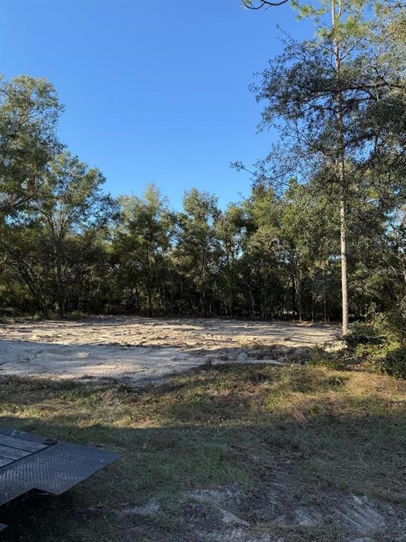A cleared, sandy lot is bordered by a dense line of mature trees — 13831 SW 89TH CIRCLE, OCALA, FL