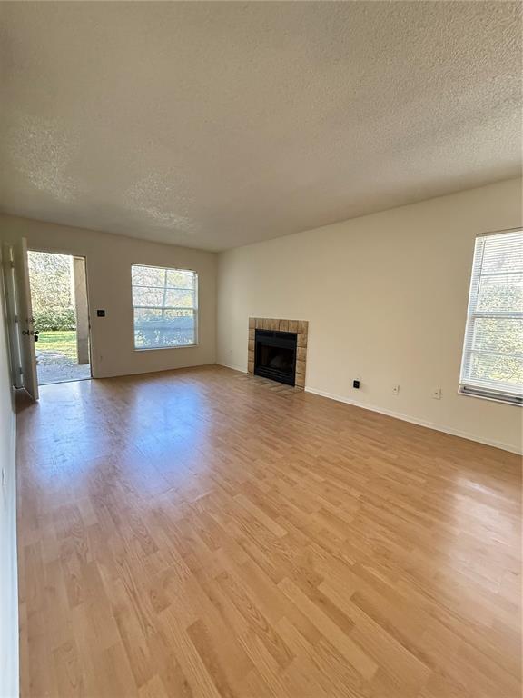 A living room features light wood-look flooring, a fireplace, and a door leading outside — 14308 HANGING MOSS CIRCLE UNIT 102, TAMPA, FL