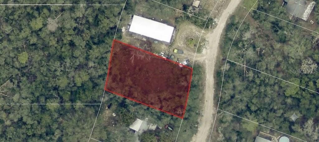 An aerial view shows a rectangular plot of land highlighted in red next to a road — PINE VALLEY DRIVE, PAISLEY, FL