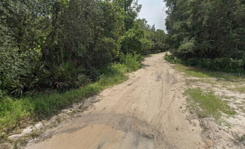 A dirt road winds through a wooded area with dense trees and vegetation — PINE VALLEY DRIVE, PAISLEY, FL