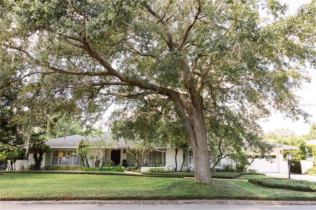 1535 WILLIAMS DRIVE