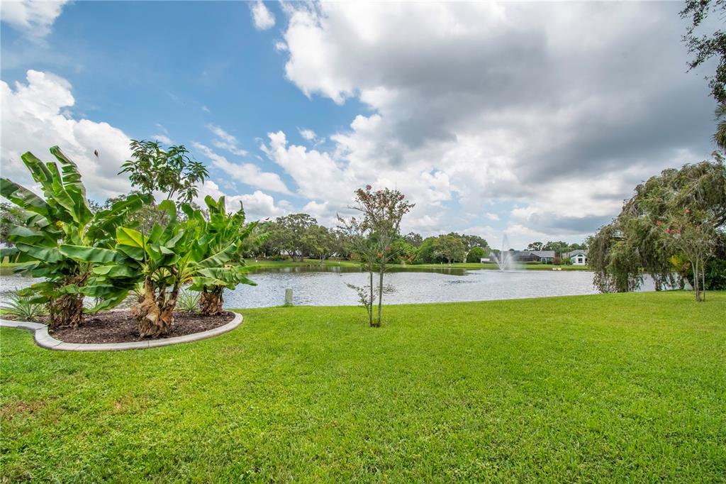 A grassy backyard features a banana plant bed, a small tree, and a pond fountain — 2906 WINDRIDGE DRIVE, HOLIDAY, FL