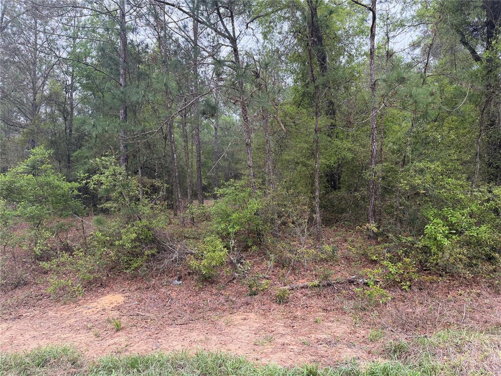 1512 E CARSON ROAD, DUNNELLON, FL — photo 2 of 16