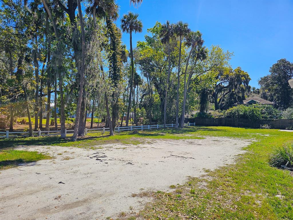 A sandy, open lot features a white fence and several tall palm trees — 820 CANAL STREET, NEW SMYRNA BEACH, FL