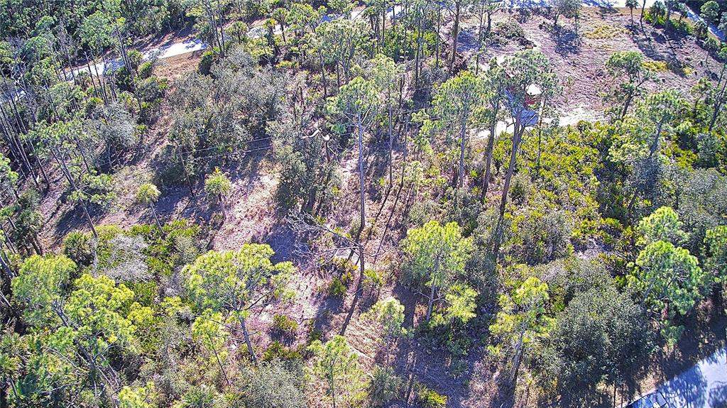An aerial view of a wooded lot with scattered pine trees and patches of vegetation — 13093 HARBISON AVENUE, PORT CHARLOTTE, FL