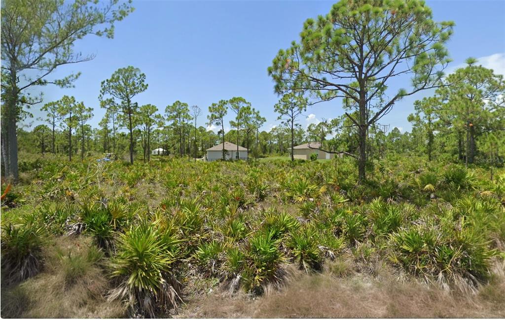 A vacant, wooded lot features native palmetto plants and scattered pine trees under a blue sky — 12285 CARTOUCHE AVENUE, PUNTA GORDA, FL