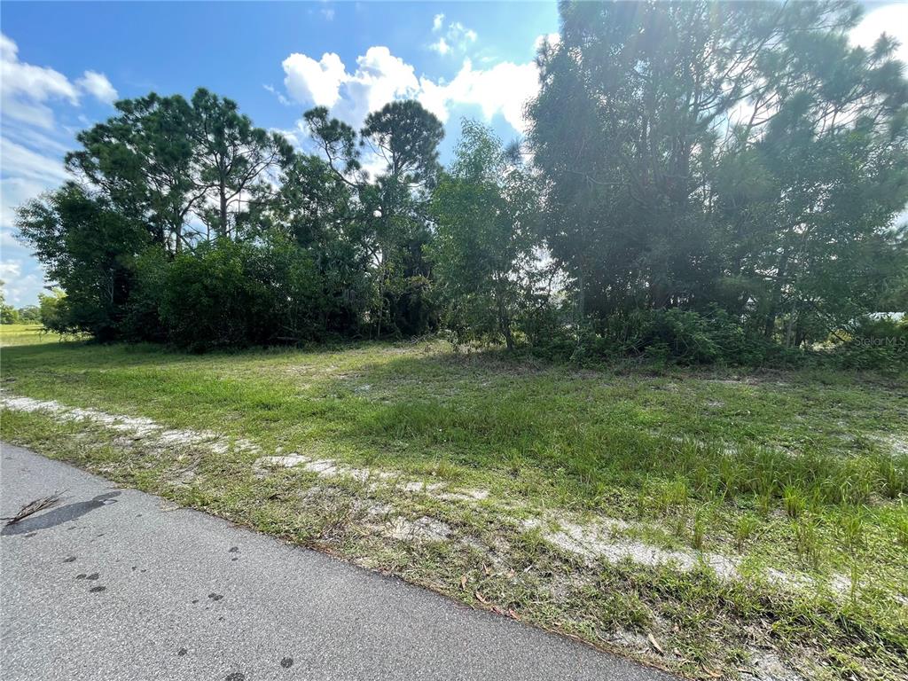 A vacant, grassy lot with trees and brush borders a paved road under a blue sky — 4513 NW 34TH PLACE, CAPE CORAL, FL