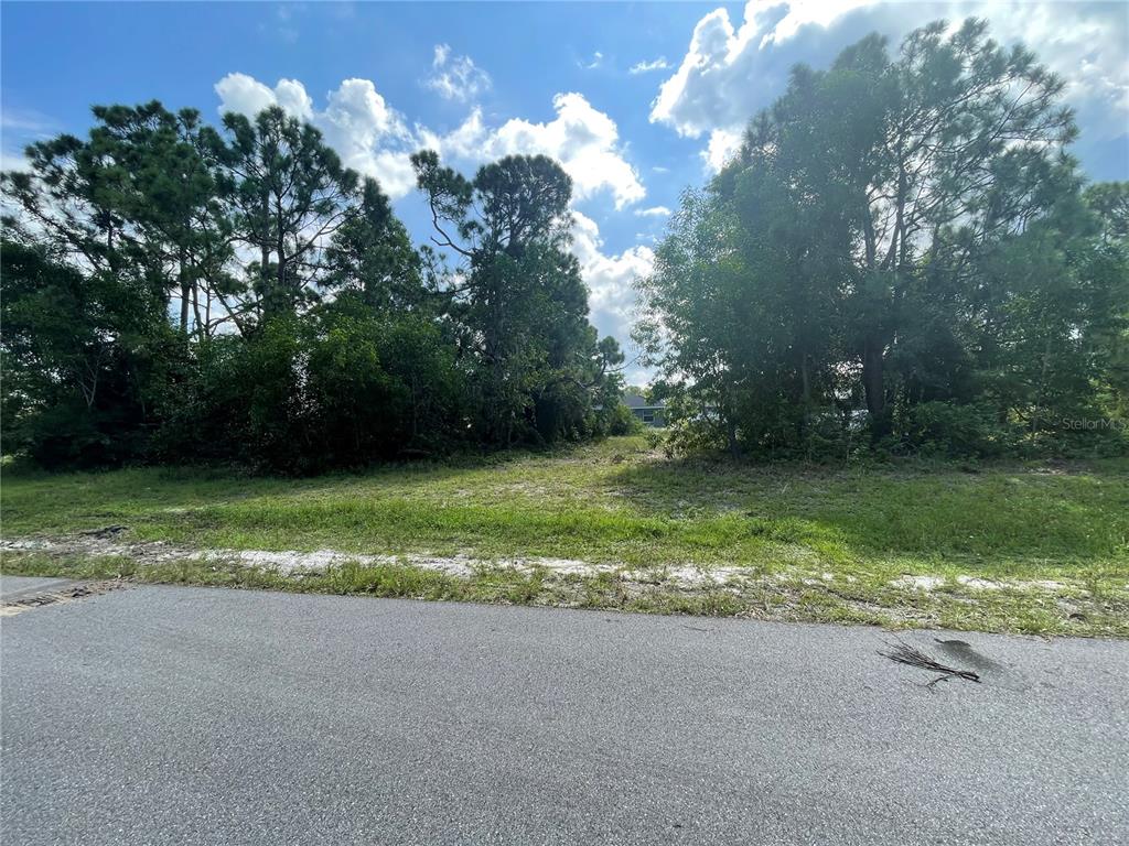 A vacant, grassy lot is bordered by trees and faces a paved residential street — 4513 NW 34TH PLACE, CAPE CORAL, FL